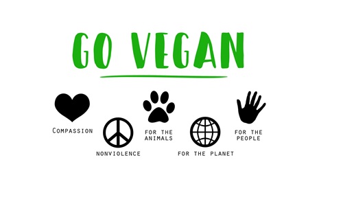 Vegane Haarpflege und Friseurprodukte: Go vegan!