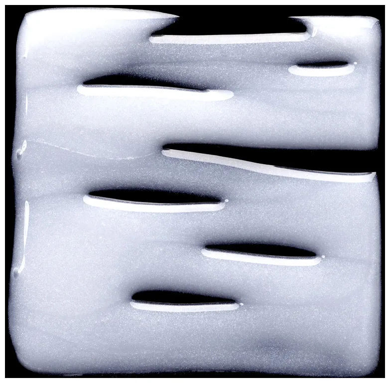 L'Oréal Pro Longer Shampoo