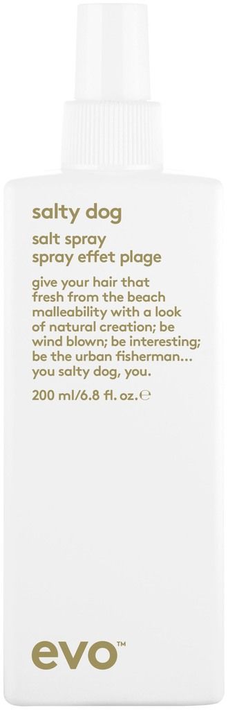 evo Salty Dog Salt Spray