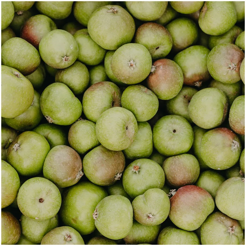 Rausch Anti-Pollution-Spray mit Schweizer Apfel