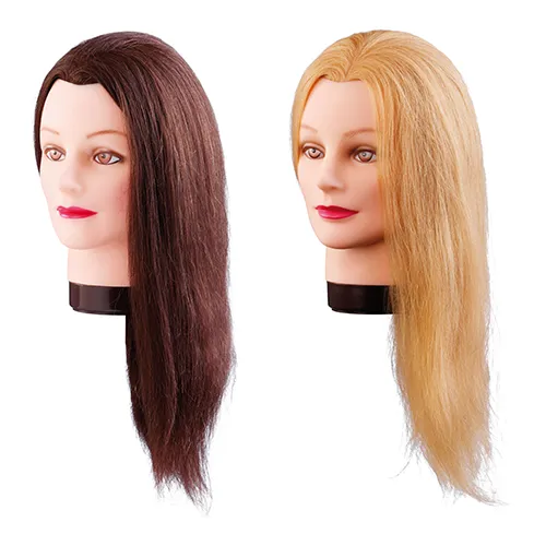 Comair Übungsköpfe