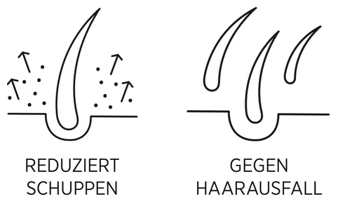 System Professional Lipid Code Man Intensive Tonic