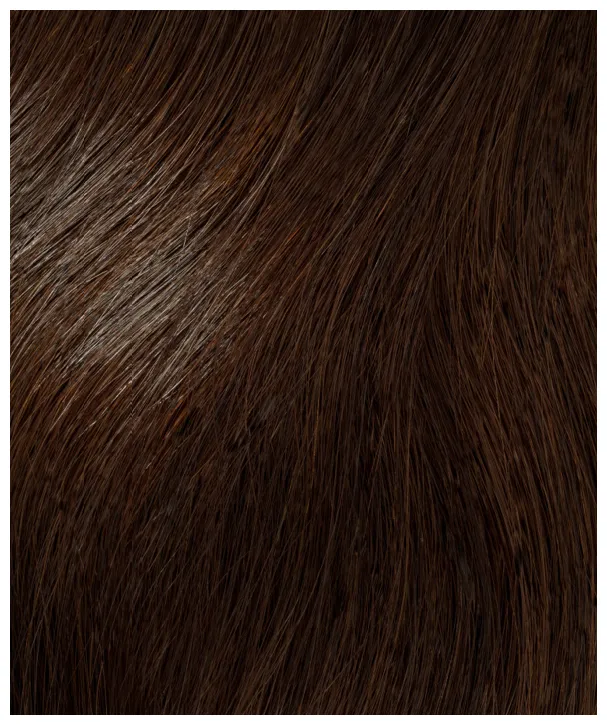 InterHair Extensions 55cm