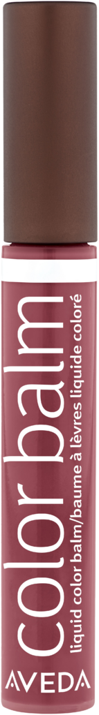Aveda Feed my Lips Nourish Mint Lip Color Balm