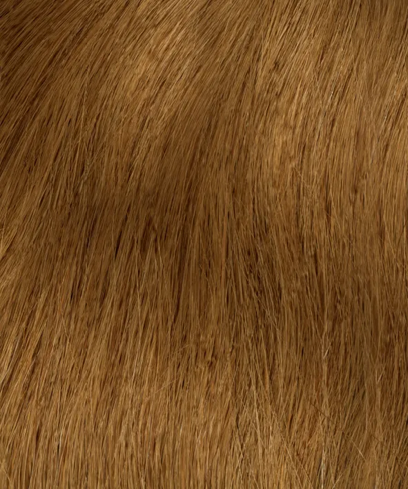 Gold Fever Bonding Extensions 45 cm