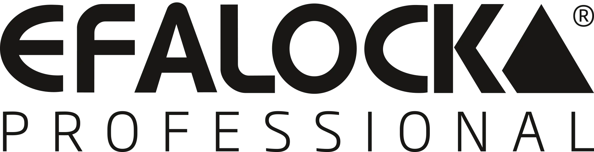 EFALOCK Professional