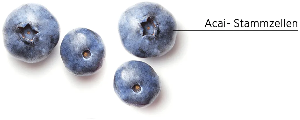 System Professional Lipid Code Inessence Conditioner