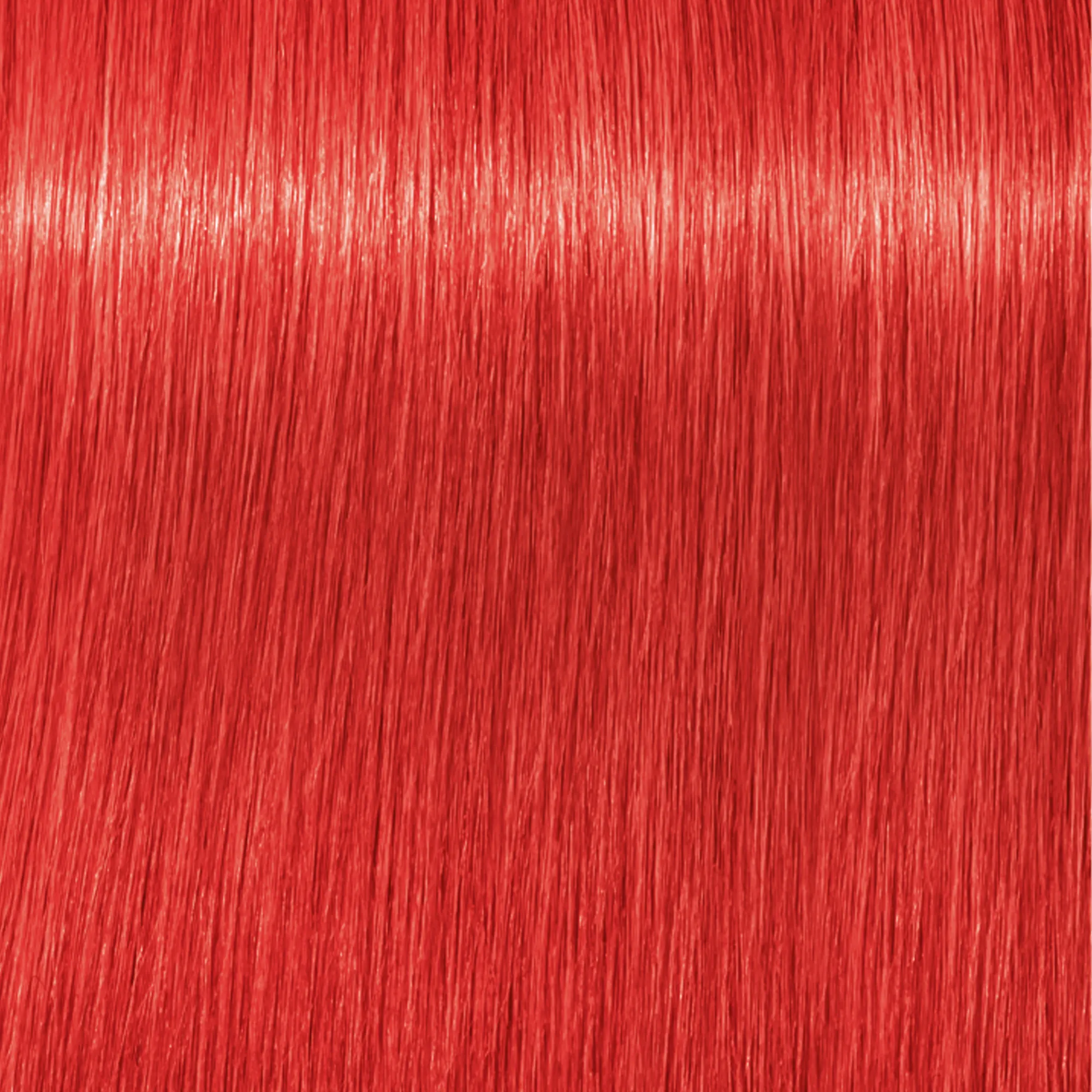 Schwarzkopf Igora Royal Mix