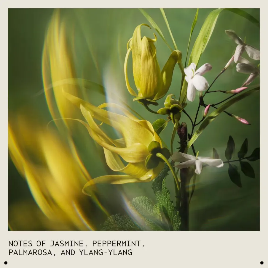 Aveda Pure Abundance Volumizing Shampoo