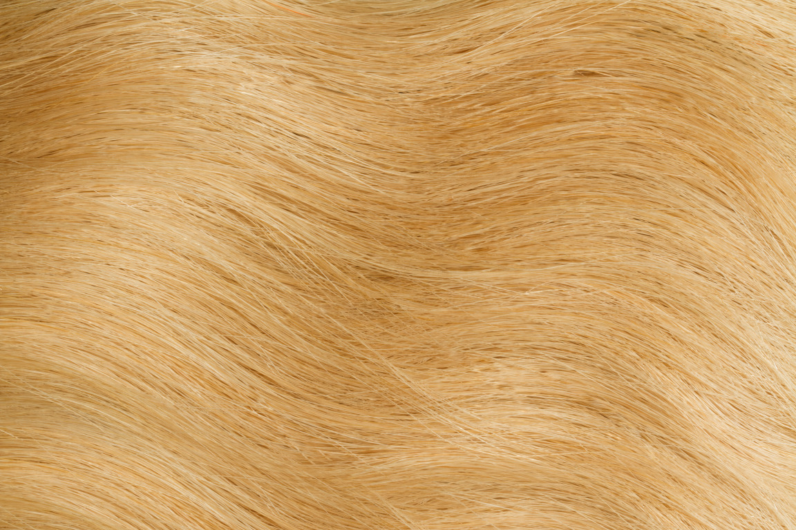 Gold Fever Hair Tapes 25 cm