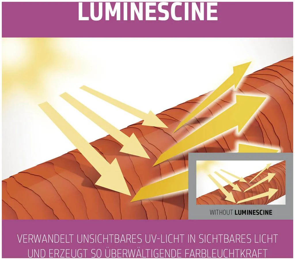 Goldwell Dualsenses Color Brilliance Conditioner