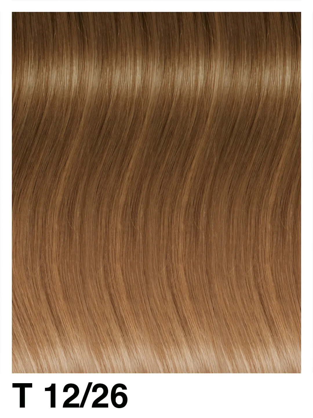SHE Weft Shatush Extensions 50/55cm