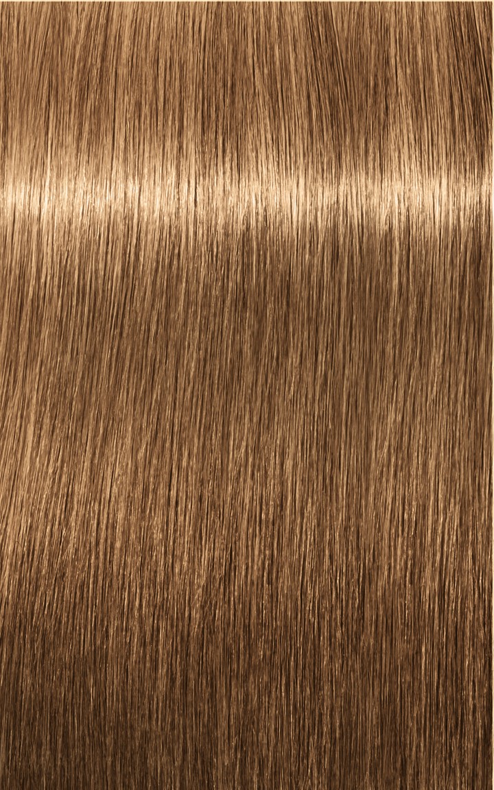 Schwarzkopf Igora Royal Absolutes