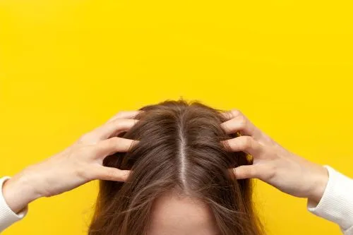 Bestes Shampoo für trockene Kopfhaut