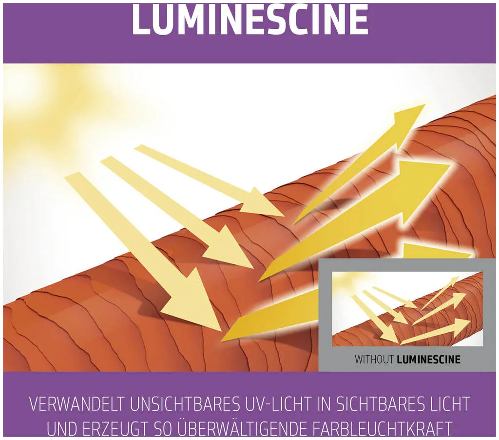 Goldwell Dualsenses Blondes & Highlights Shampoo