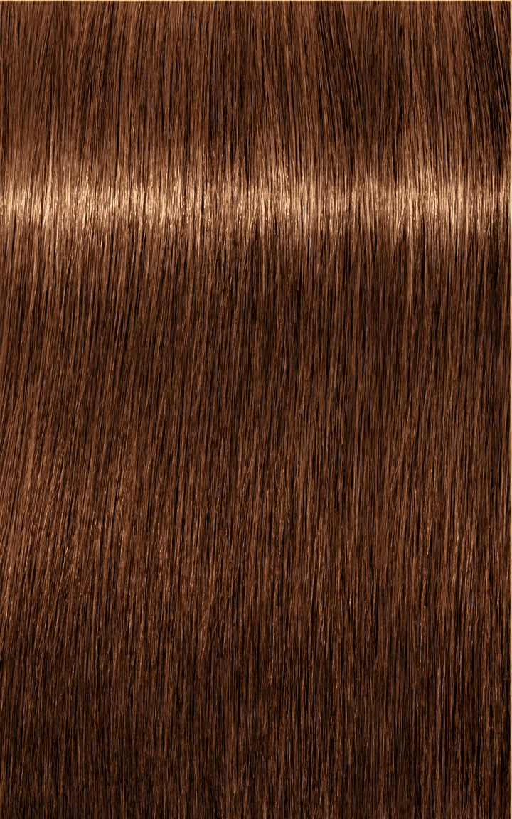 Schwarzkopf Igora Royal Absolutes