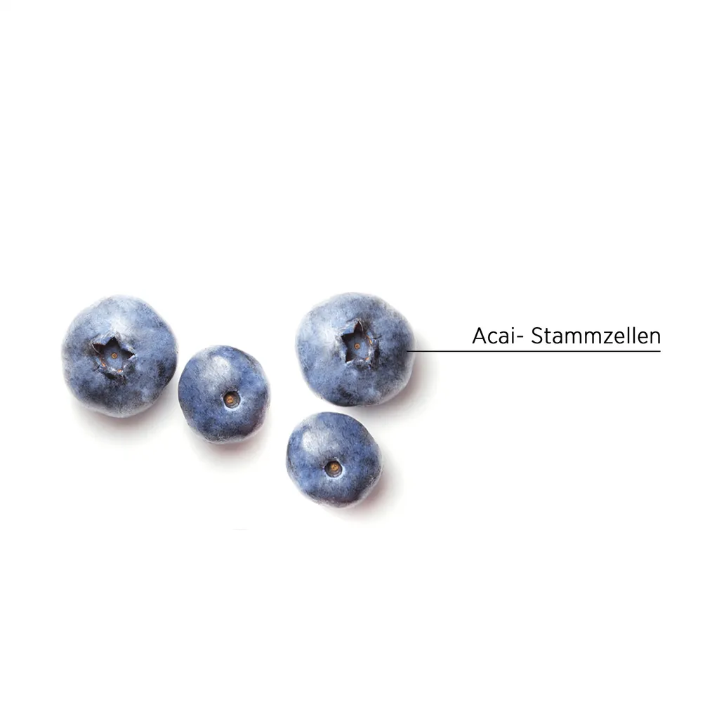 System Professional Lipid Code Nativ Pre-Shampoo Clay