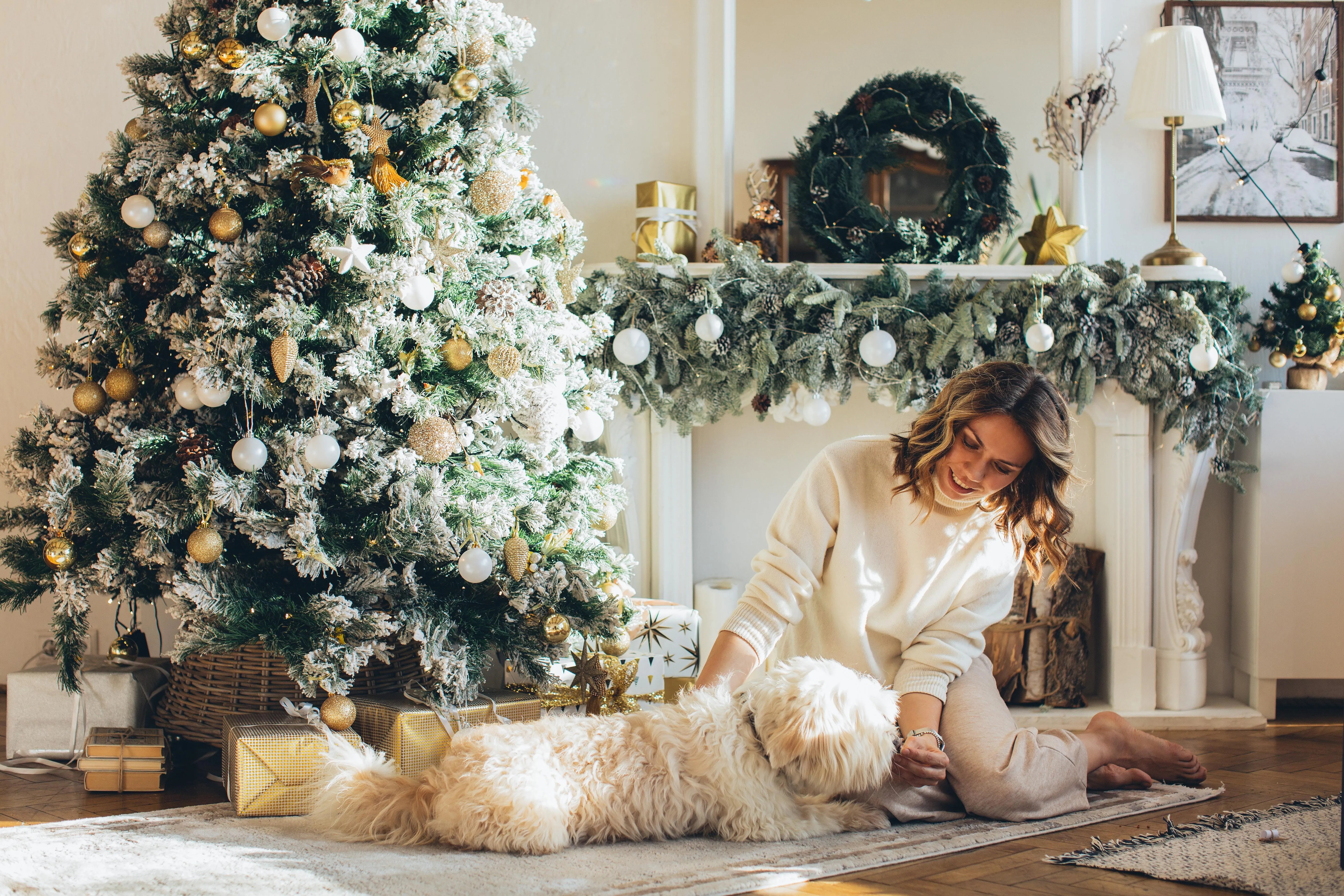 Frau mit weißem Hund sitzt vor Weihnachtsbaum