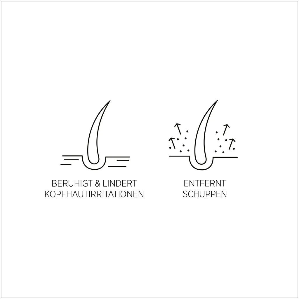 System Professional Lipid Code Purify Lotion