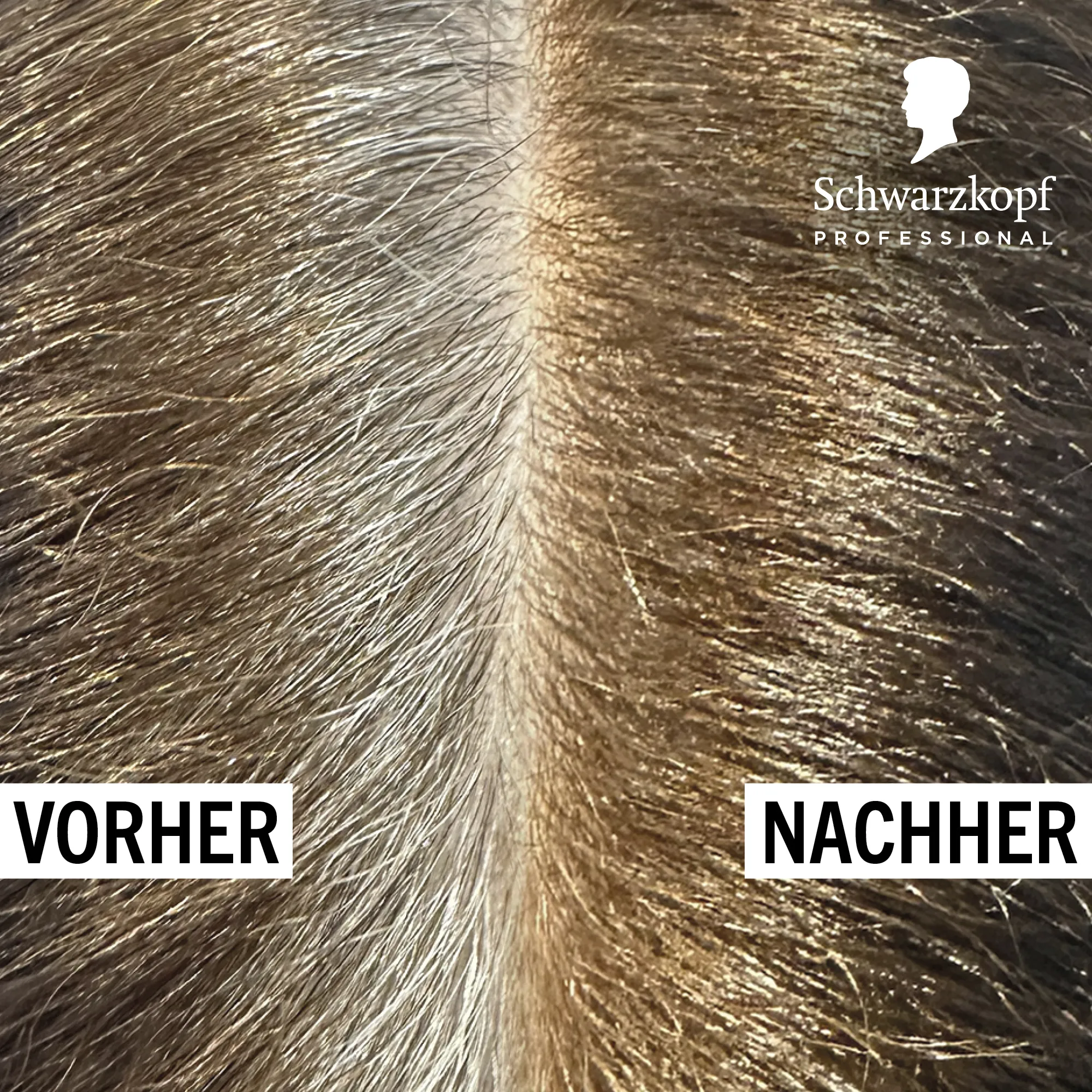 Schwarzkopf Igora Color 10