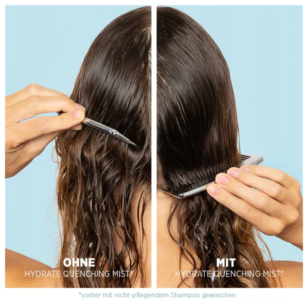 System Professional Lipid Code Hydrate Quenching Mist