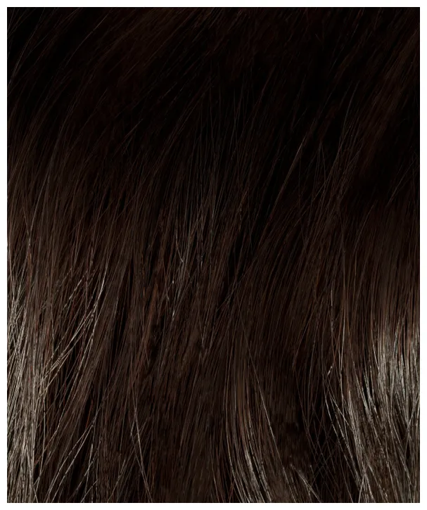 InterHair Extensions 55cm