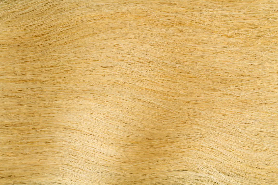 Gold Fever Hair Tapes 45 cm