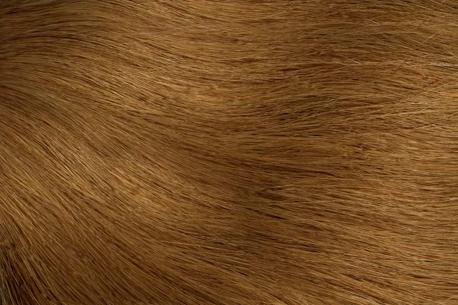 Gold Fever Hair Tapes 45 cm